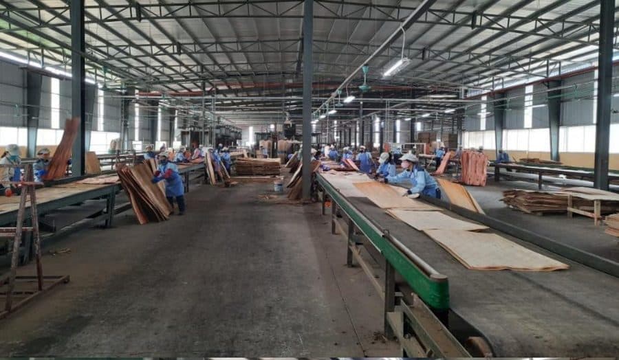 LELOI wood factory in Vietnam — production line 2